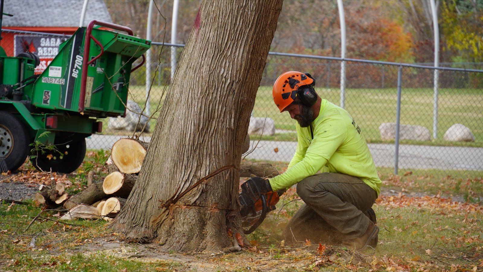 A large, looming tree crowding a West Michigan home — exactly the kind of hazard Ole Man RB's takes down safely.
