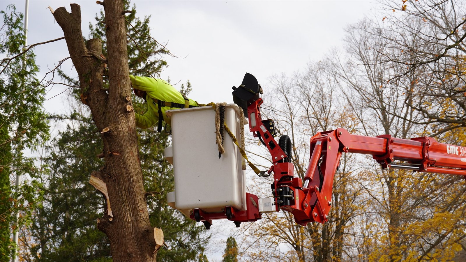 An Ole Man RB's climber making a clean clearance cut over a West Michigan rooftop